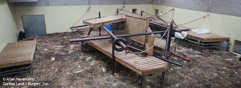 Gorillas Land | Burgers' Zoo