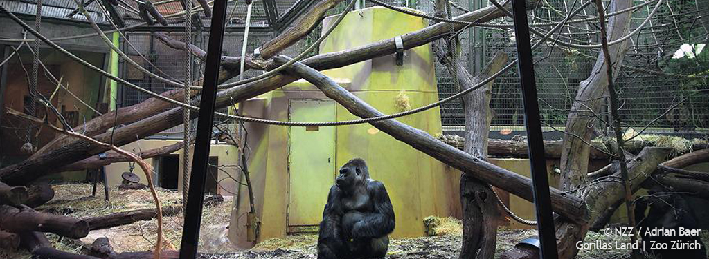 Comme des garcons zürich zoo outlet