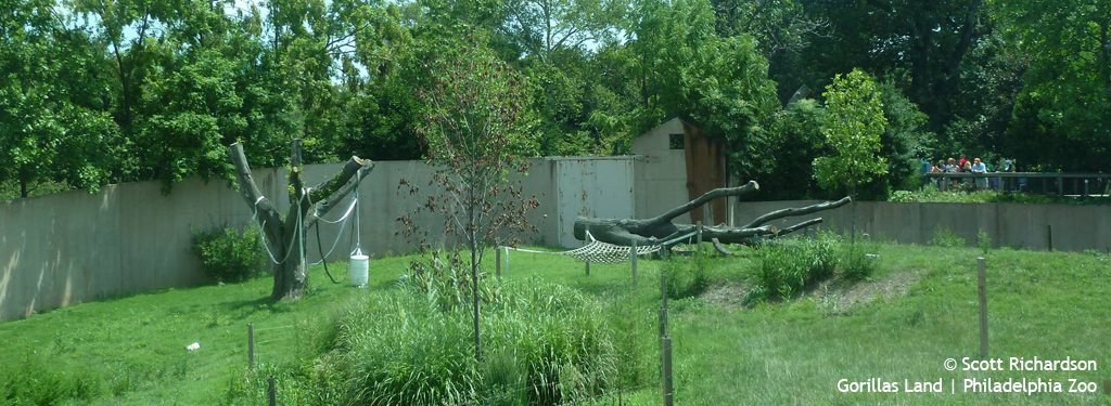 Motuba Gorillas Land | Philadelphia Zoo